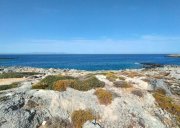 Stavros Kreta, Stavros: Grundstücke direkt am Meer mit Blick auf den Sonnenuntergang zu verkaufen Grundstück kaufen